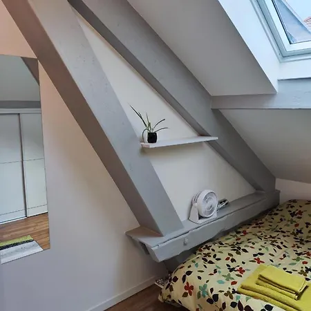 Chez Mamie Apartment Metz